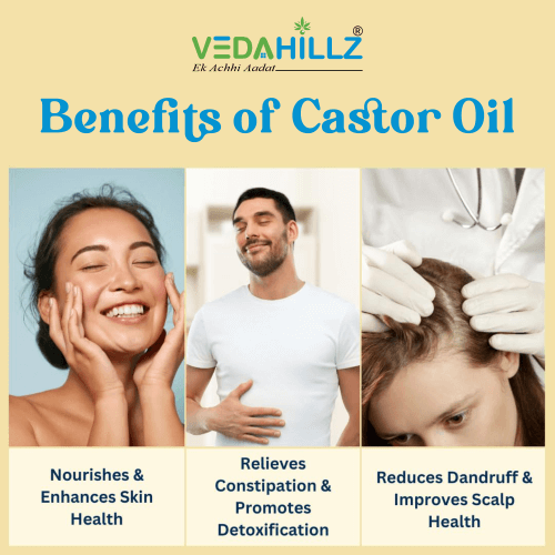 Vedahillz Cold Pressed Castor Oil Sourced from Premium Natural Seeds